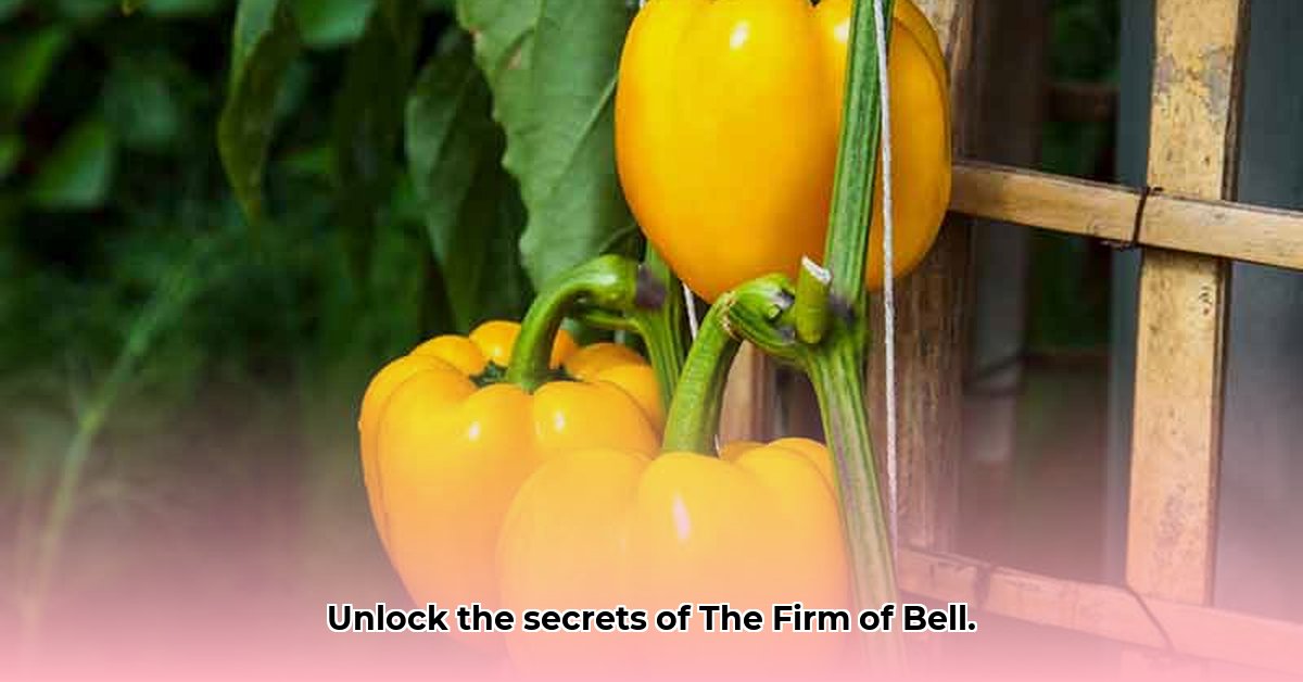 download-the-firm-of-bell